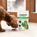 Yumove Joint Support package for dogs with a dog sniffing it on a wooden floor. bullet 2