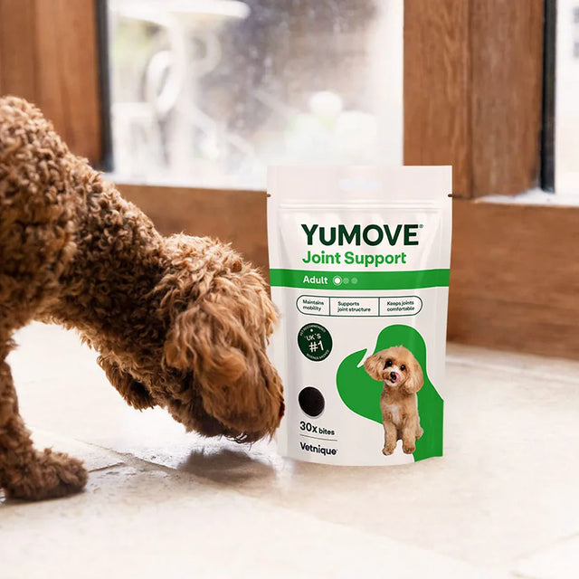 Yumove Joint Support package for dogs with a dog sniffing it on a wooden floor.2