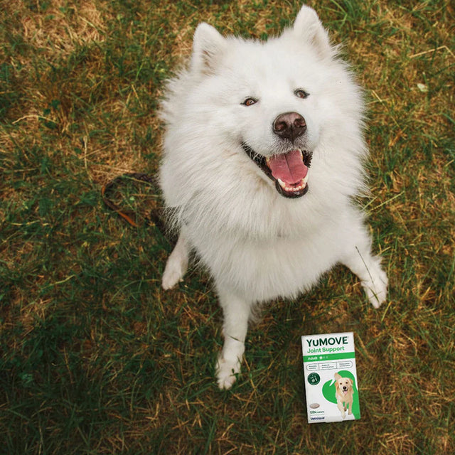 YuMOVE Joint Support for Adult Dogs2