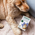 Dog lying next to a box of YUMOVE Calming Support on a soft surface bullet 2
