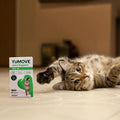 Cat lying on a carpet next to a box of Yumove Joint Support for cats. bullet 2