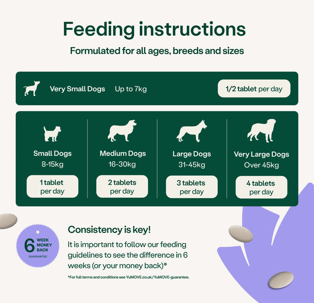 Feeding instructions for dogs of different sizes with corresponding tablets per day on a green and white background.3
