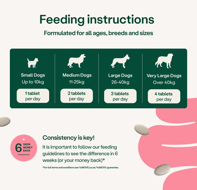 Feeding instructions for dogs with different weights on a green background3