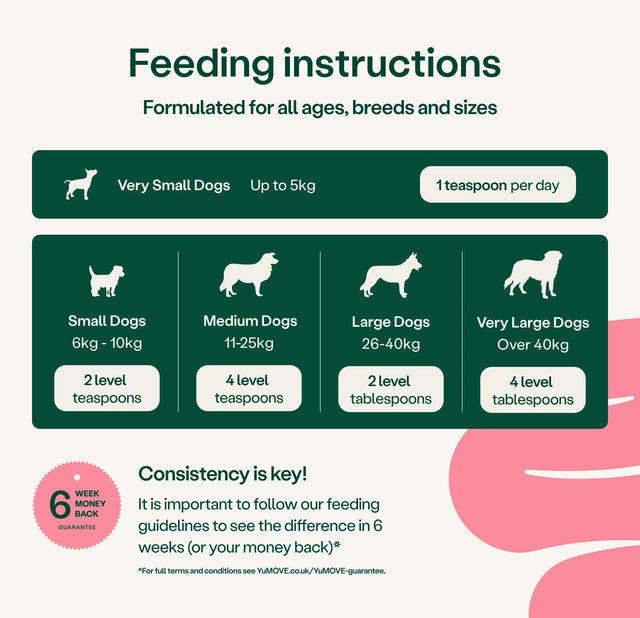 Feeding instructions for dogs with different weight ranges on a green background.3