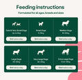 Feeding instructions for dogs of different sizes on a green background bullet 3