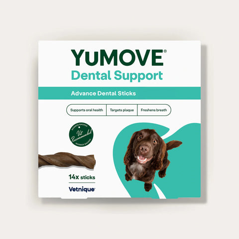 YuMOVE Dental Support packaging for dogs on a light gray background