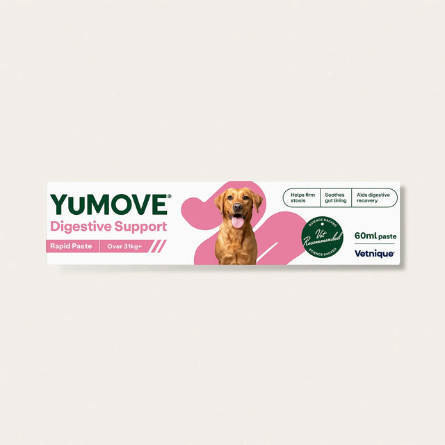 Yumove Digestive Support paste for dogs on a light gray background7