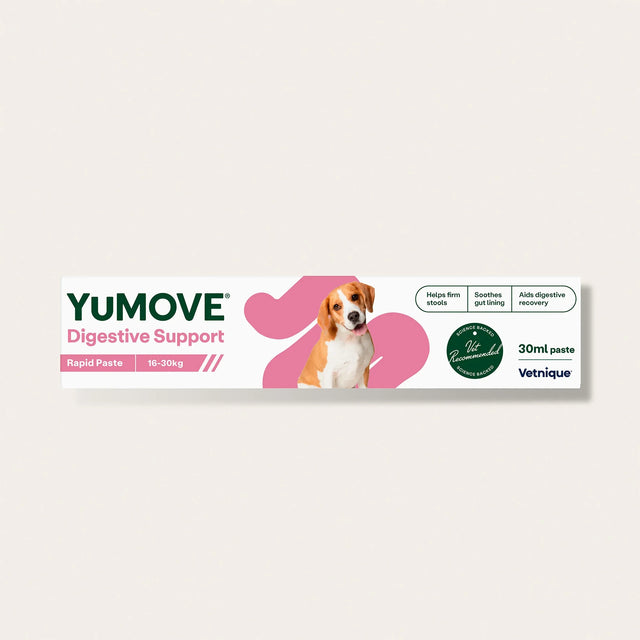 Yumove digestive support product packaging for dogs on a white background6