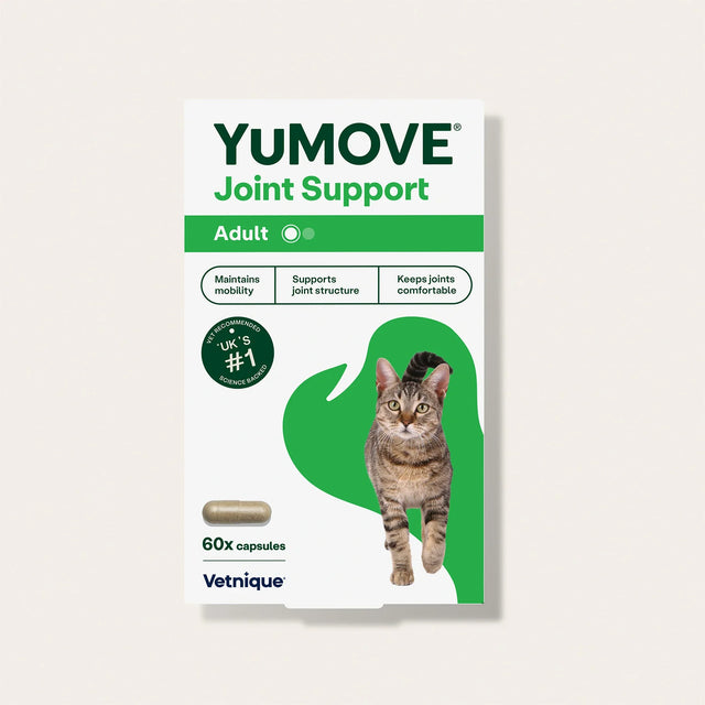 YuMOVE Joint Support for adult cats packaging with a cat illustration on a light gray background1