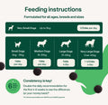 Feeding instructions for dogs of different sizes on a green background bullet 3