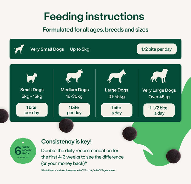 Feeding instructions for dogs of different sizes on a green background3