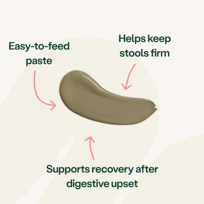 Illustration of a brown paste with text describing its benefits on a light background 2