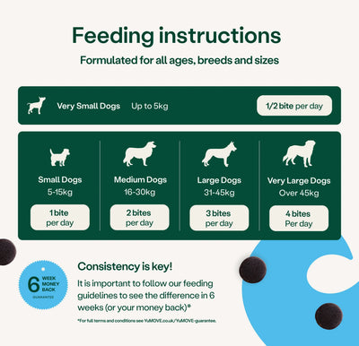 Feeding instructions for dogs of different sizes with corresponding bites per day on a green and white background. 2