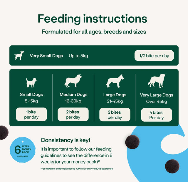 Feeding instructions for dogs of different sizes with corresponding bites per day on a green and white background.2
