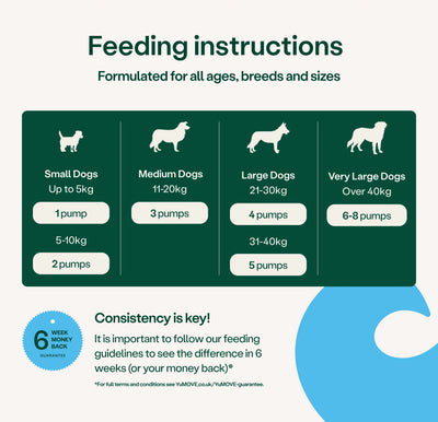 Feeding instructions for dogs with pump quantities on a green and white background 2