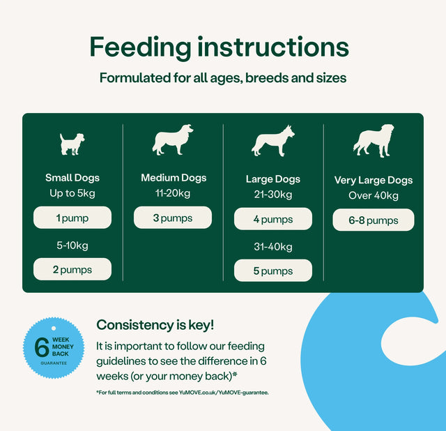 Feeding instructions for dogs with pump quantities on a green and white background2