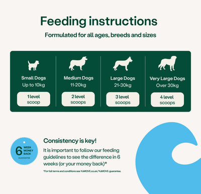 Feeding instructions for dogs with scoop levels for different dog sizes on a green and white background. 2