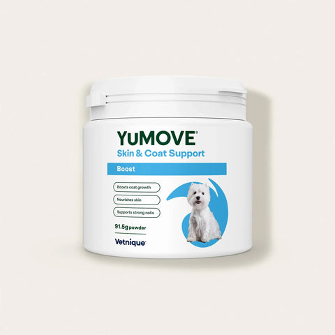 YuMOVE Skin & Coat Support container on a light beige background