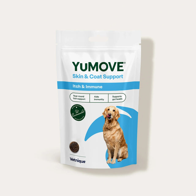 Yumove skin and coat support package for dogs on a white background1