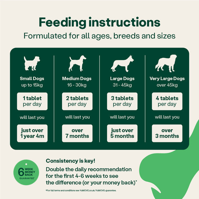 Feeding instructions for dogs with different weights on a green and white background2