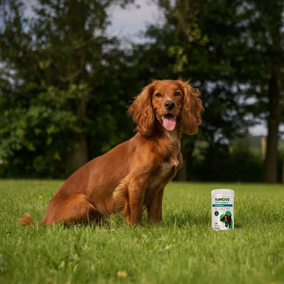 YuMOVE Joint Support for Working Dogs 2