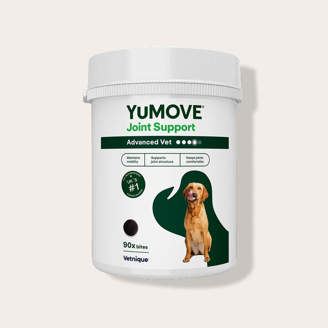 Yumove Joint Support container for dogs on a white background1